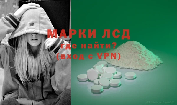 гашик Богданович