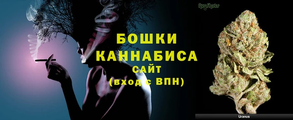 гашик Богданович