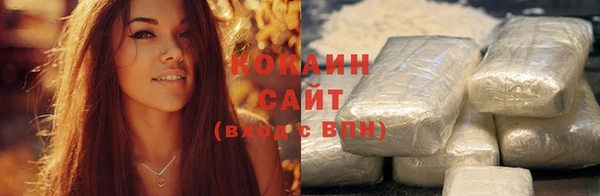 гашик Богданович