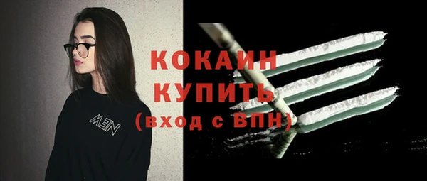 шишки Богородск