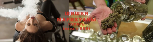 прущие грибы Бронницы