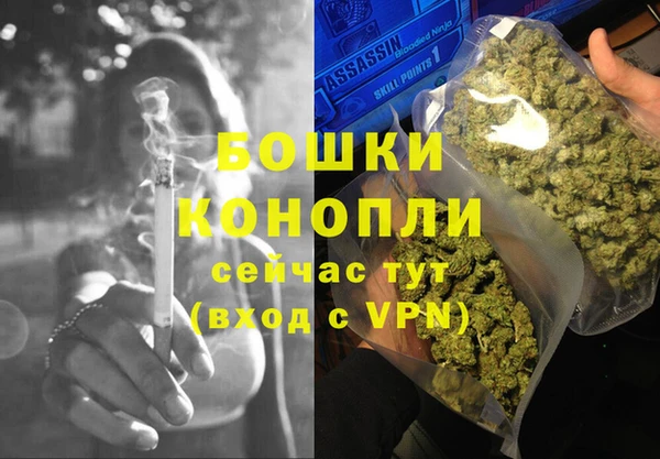 гашик Богданович