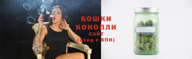 гашик Богданович