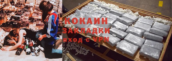 гашик Богданович