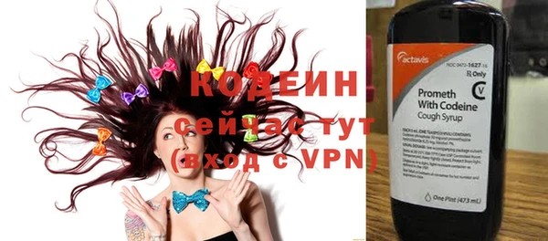 шишки Богородск