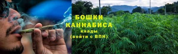 шишки Богородск
