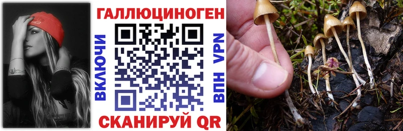 ссылка на мегу рабочий сайт продажа наркотиков Берёзовка Псилоцибиновые грибы мицелий